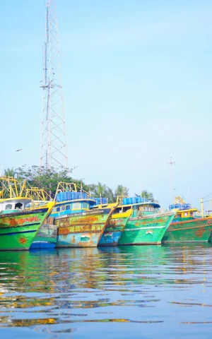 DSC07276-1 DSC07276-1