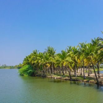 backwaters backwaters